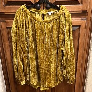 Velvet Gold Women's Top